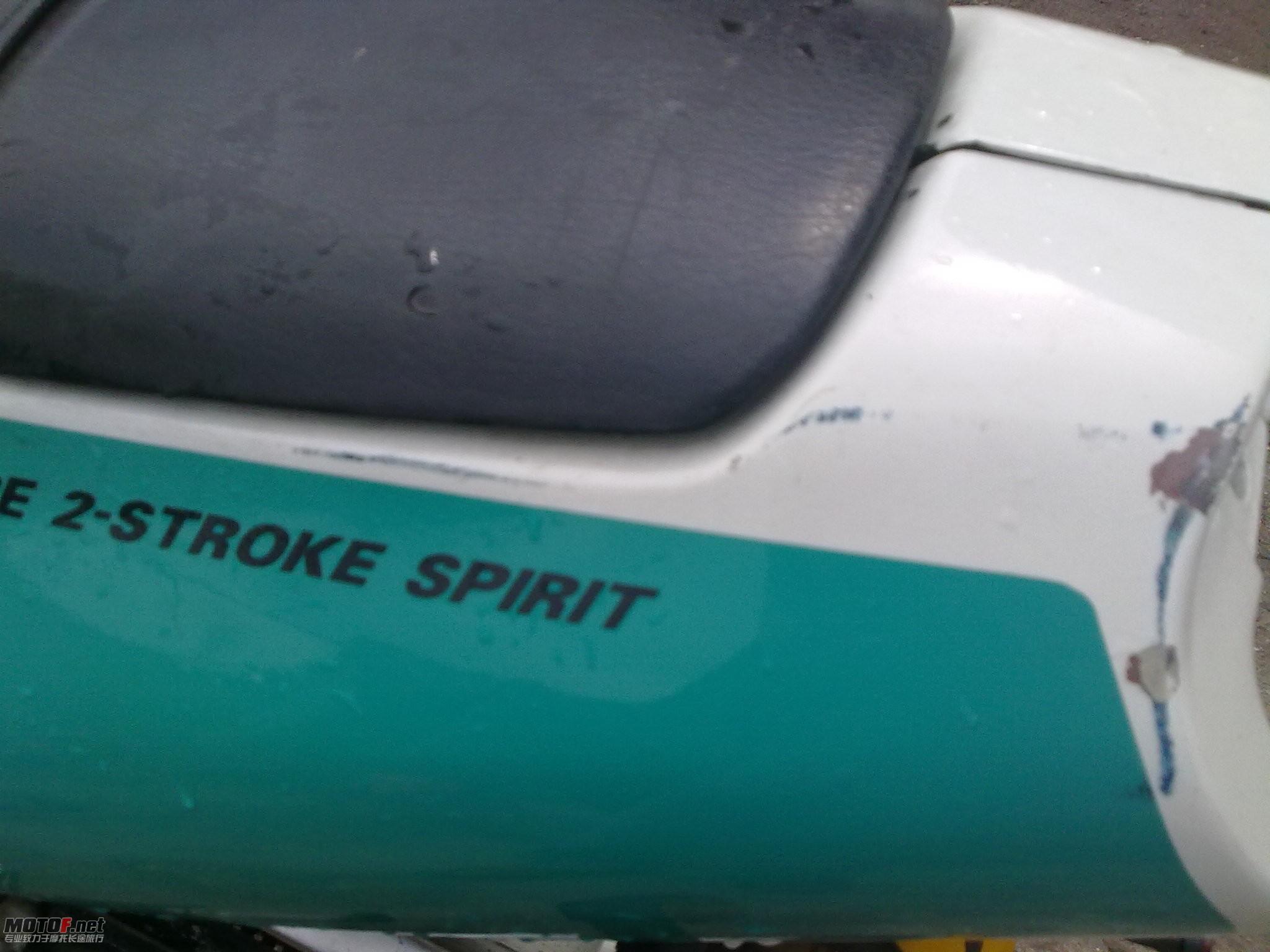 20100614026.jpg