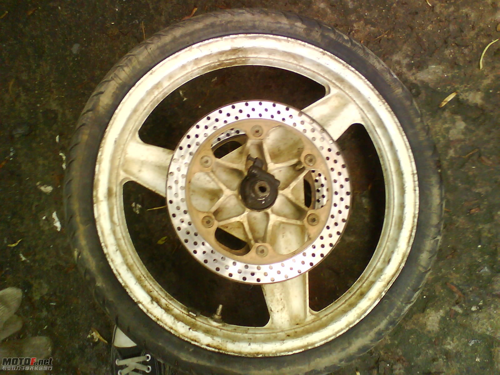 DSC00010.JPG