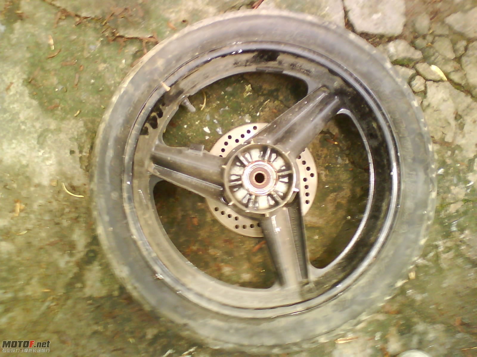 DSC00011.JPG