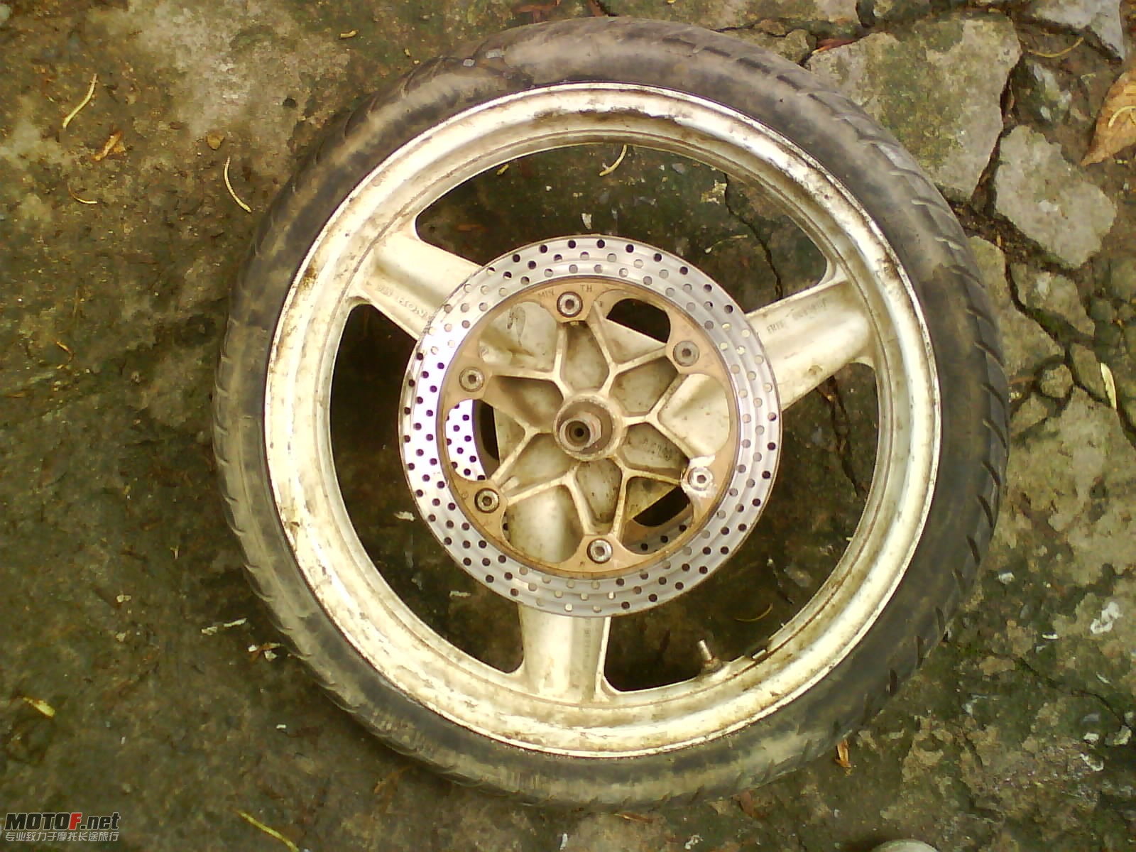 DSC00009.JPG