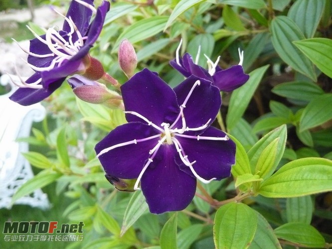 P1160155_调整大小.JPG