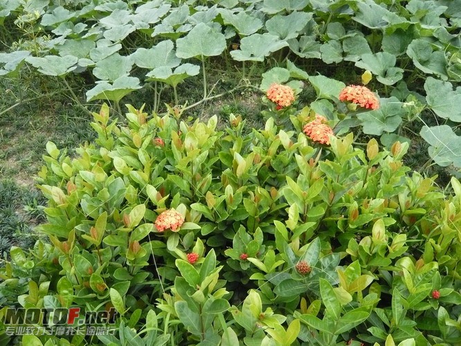 P1160163_调整大小.JPG