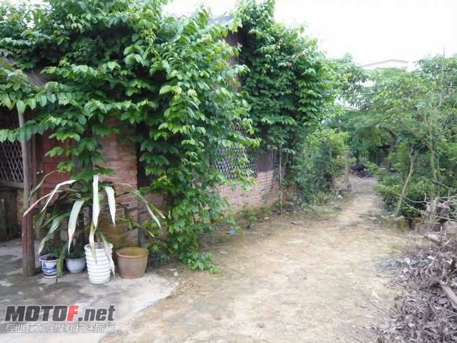 P1160167_调整大小.JPG