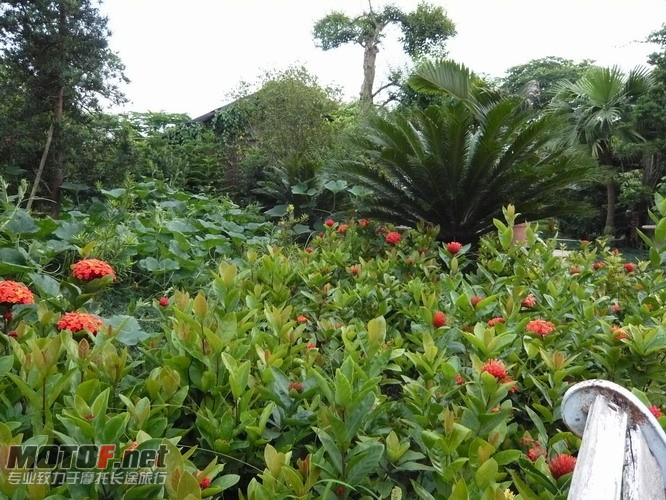 P1160162_调整大小.JPG