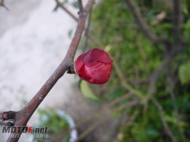 P1160169_调整大小.JPG