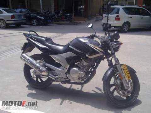 YBR250