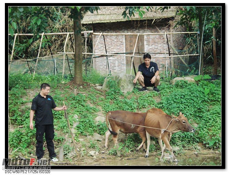 nEO_IMG_DSC00138.jpg