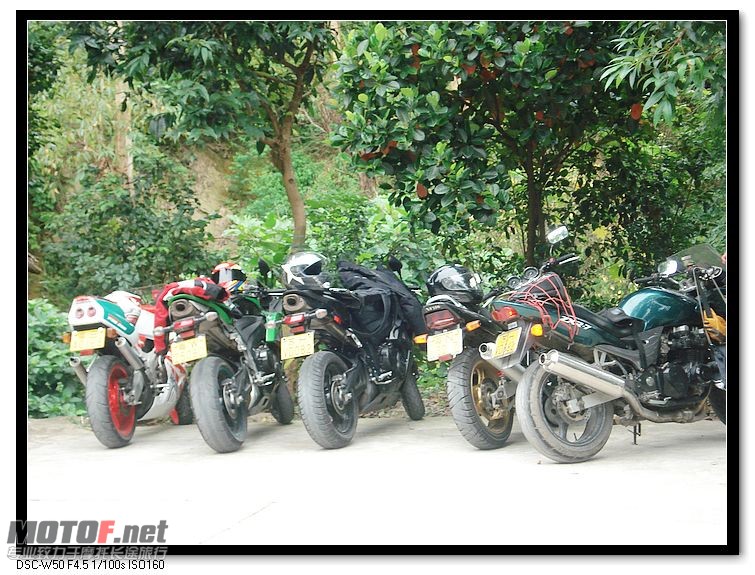 nEO_IMG_DSC00142.jpg