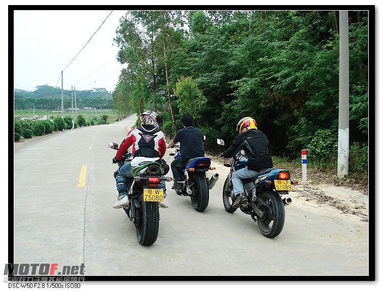 nEO_IMG_DSC00173.jpg