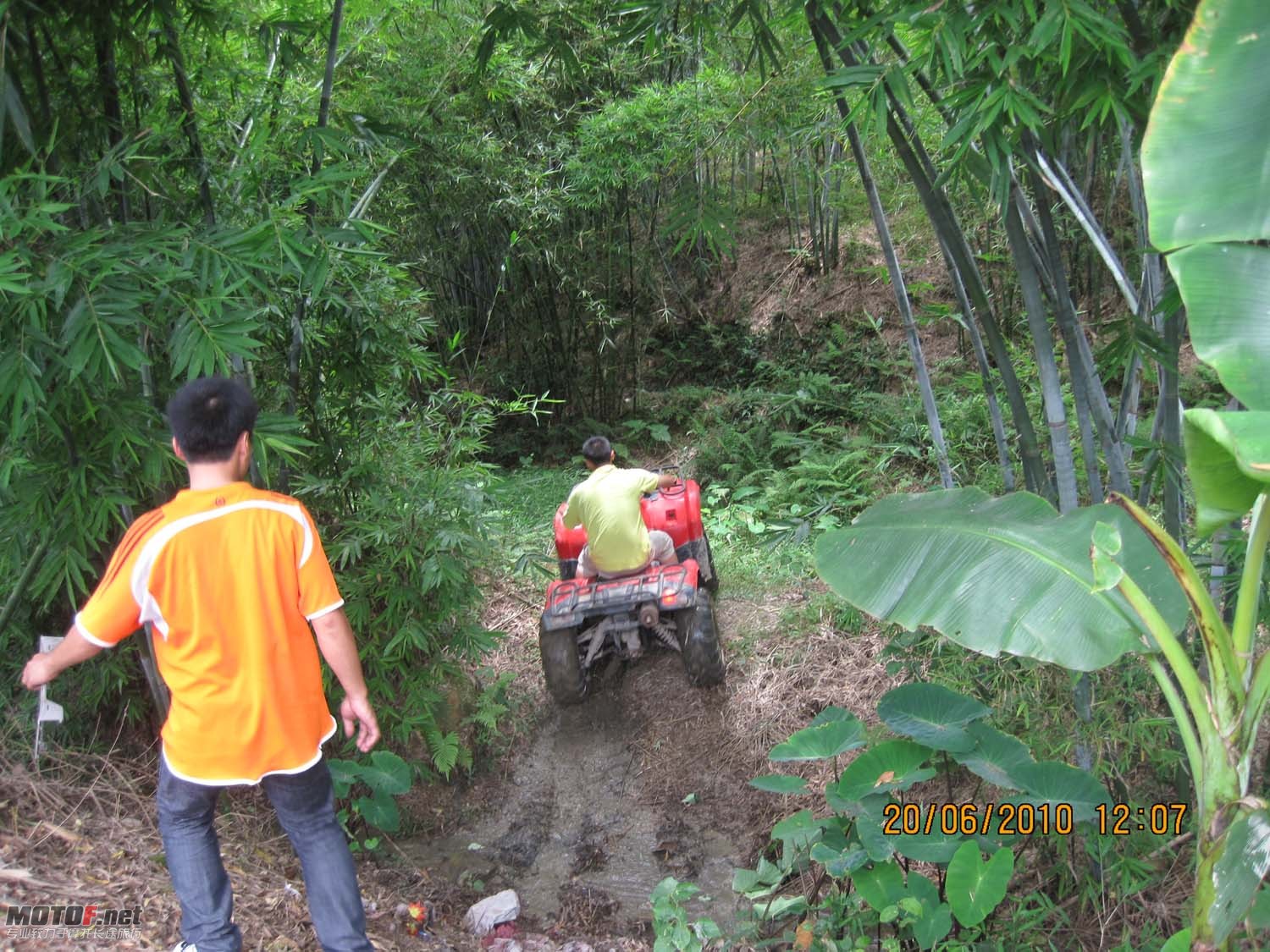 IMG_872601.jpg