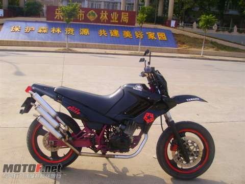 广东韶关乐昌3000元出售TDR125改装车