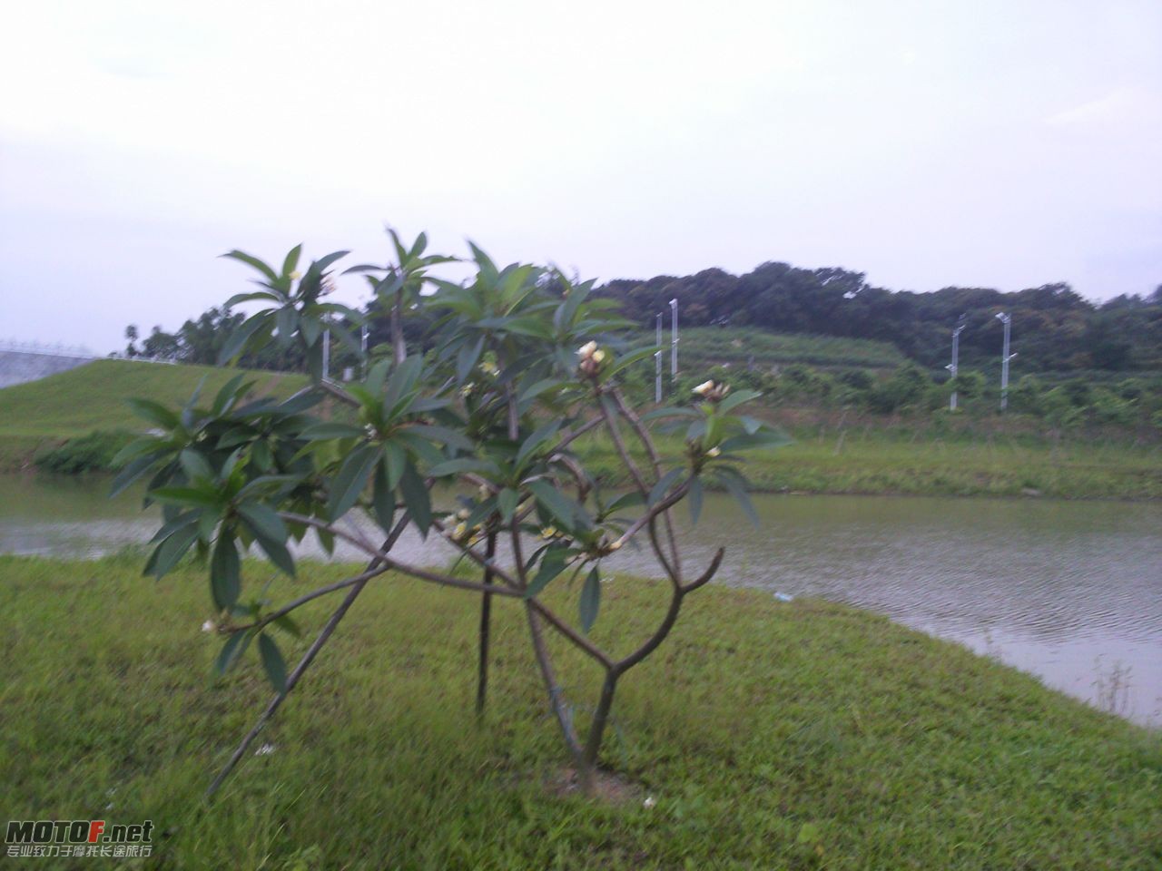 相片041.jpg
