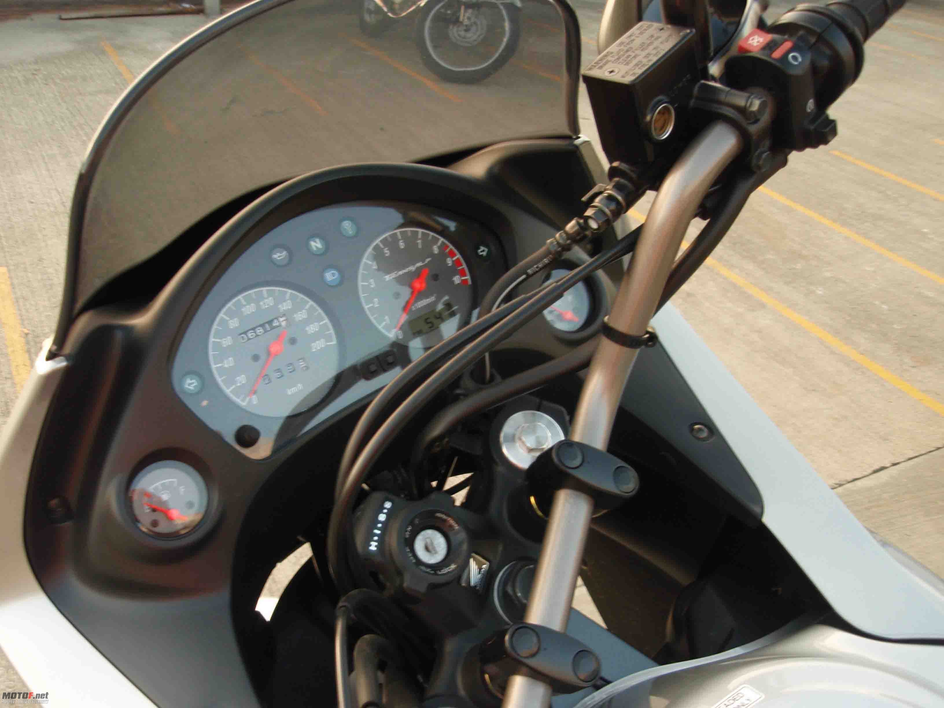 P1010007.jpg