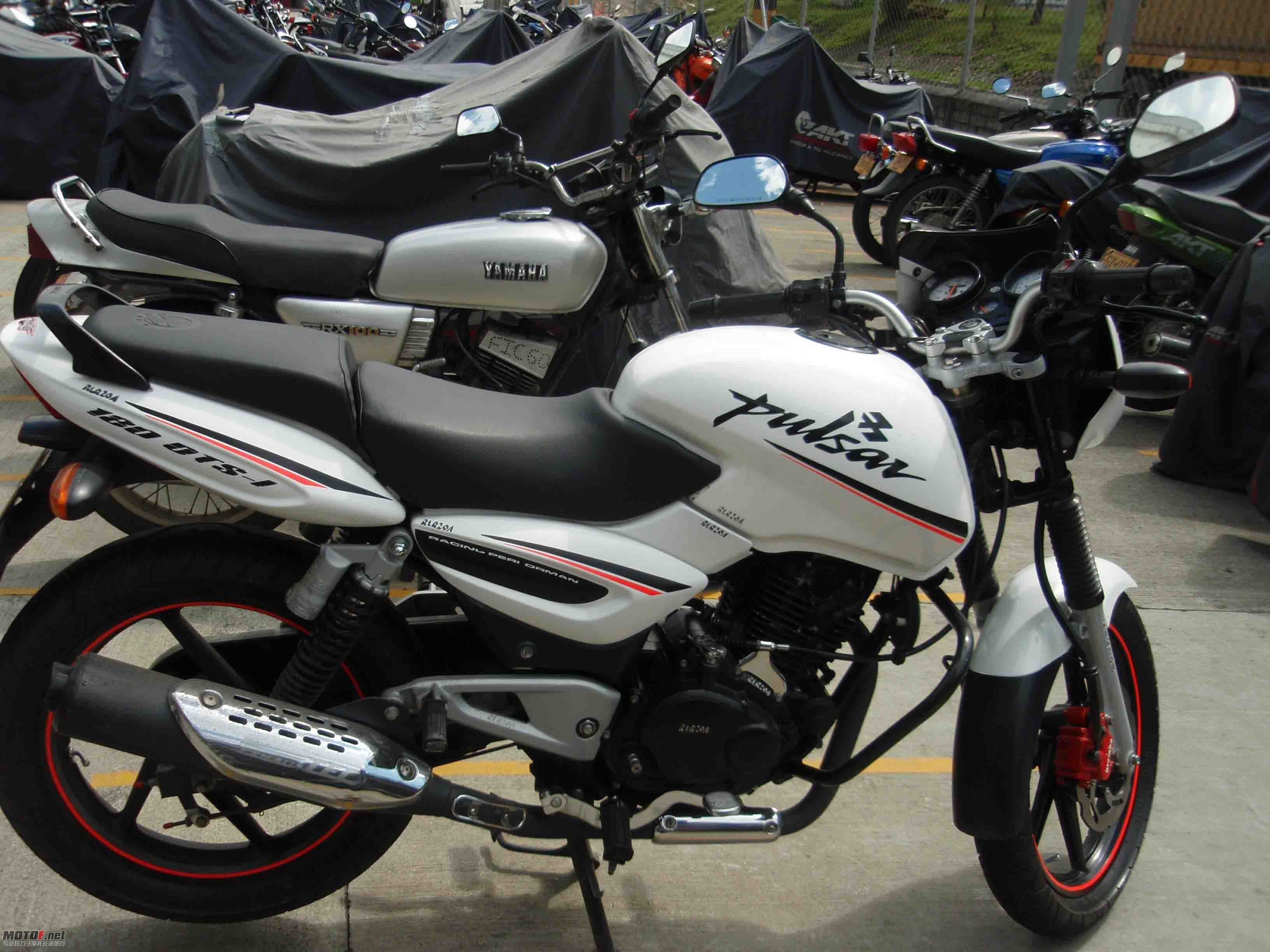 P1010047.jpg