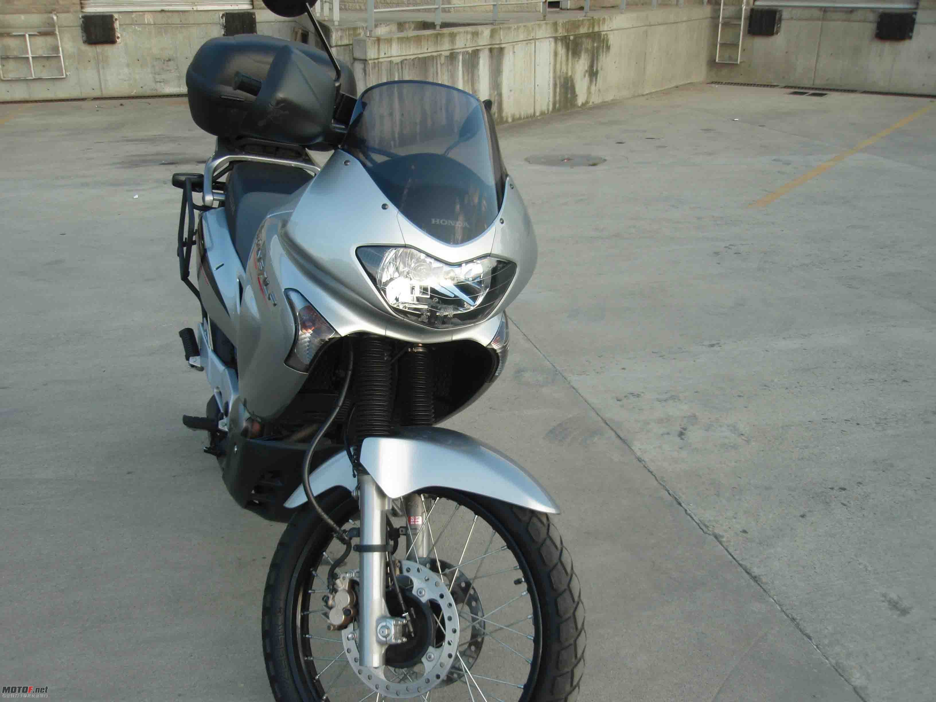 P1010005.jpg