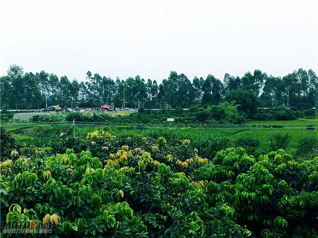 20100626114_副本.jpg