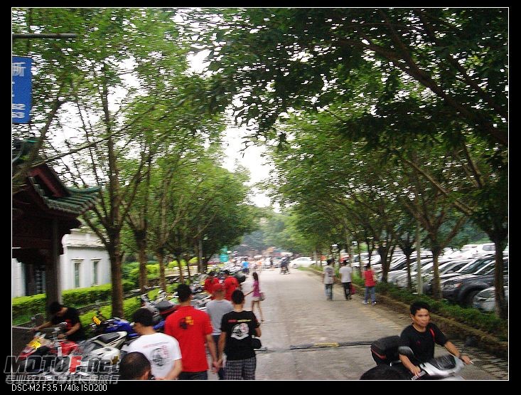 DSC01443.jpg