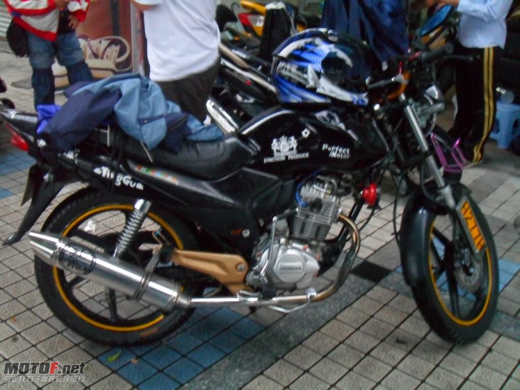 SAM_2447.JPG