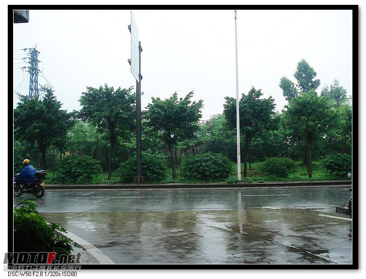 nEO_IMG_DSC00356.jpg