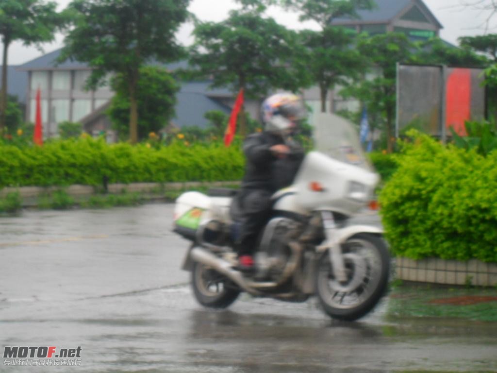 SAM_2703.JPG