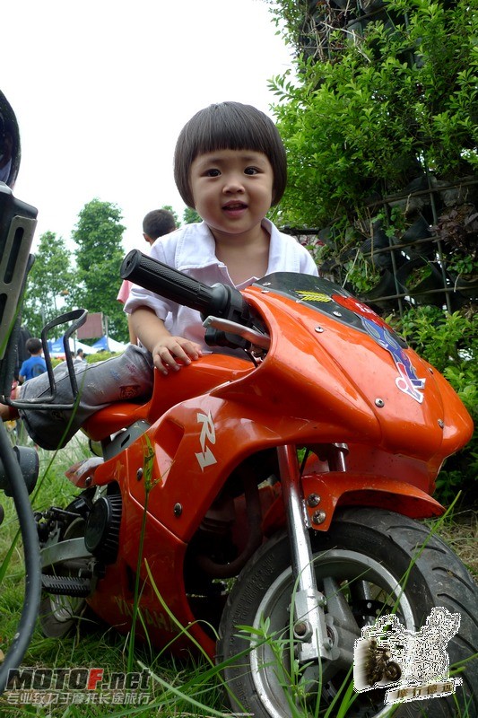 P1000575.jpg