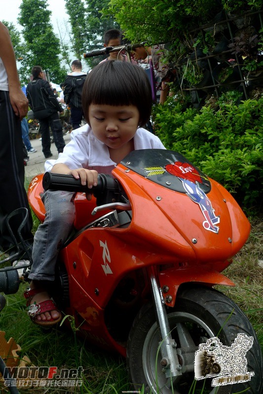 P1000571.jpg
