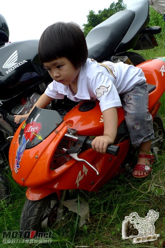 P1000569.jpg