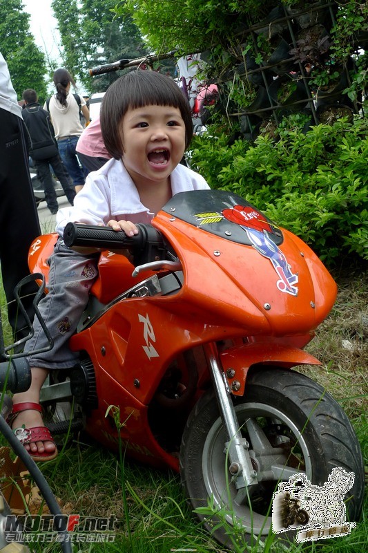 P1000573.jpg