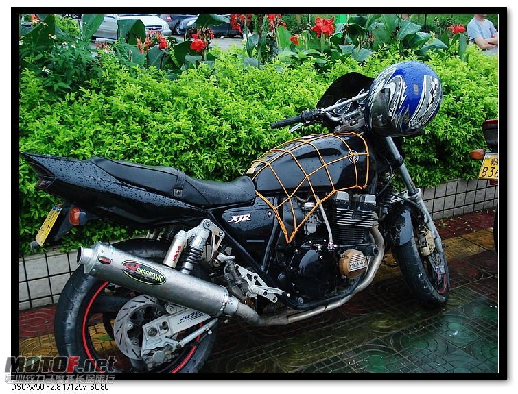nEO_IMG_DSC00438.jpg