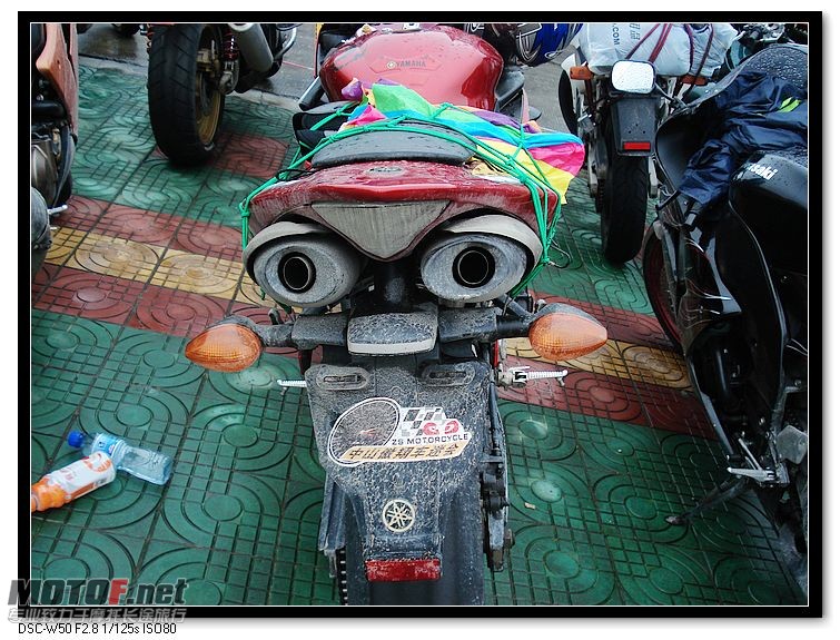 nEO_IMG_DSC00442.jpg