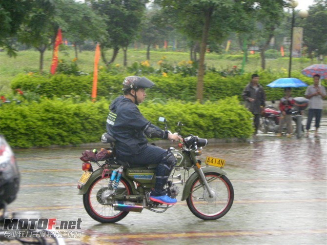 185.jpg