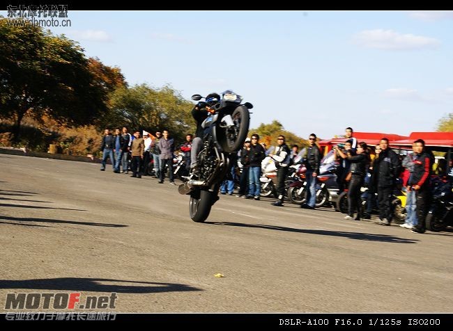 20081009_e6477269bf0b9eaec66dLJlczMmQeKpV[1].jpg