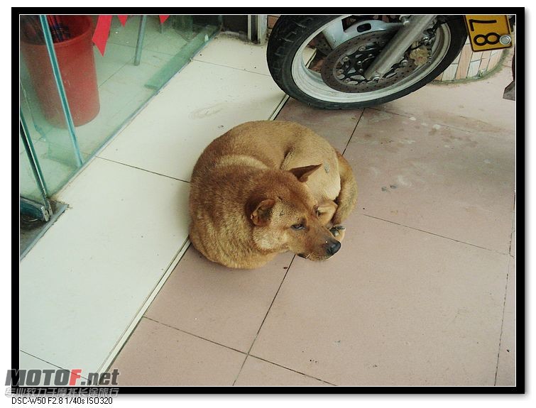 nEO_IMG_DSC00558.jpg