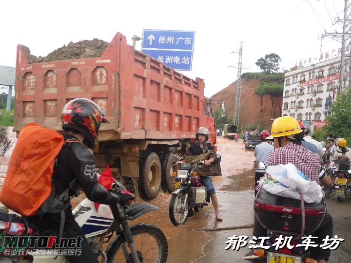 BigBull_SDC10960.JPG