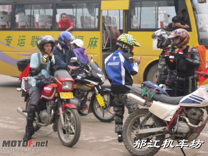 BigBull_SDC10957.JPG
