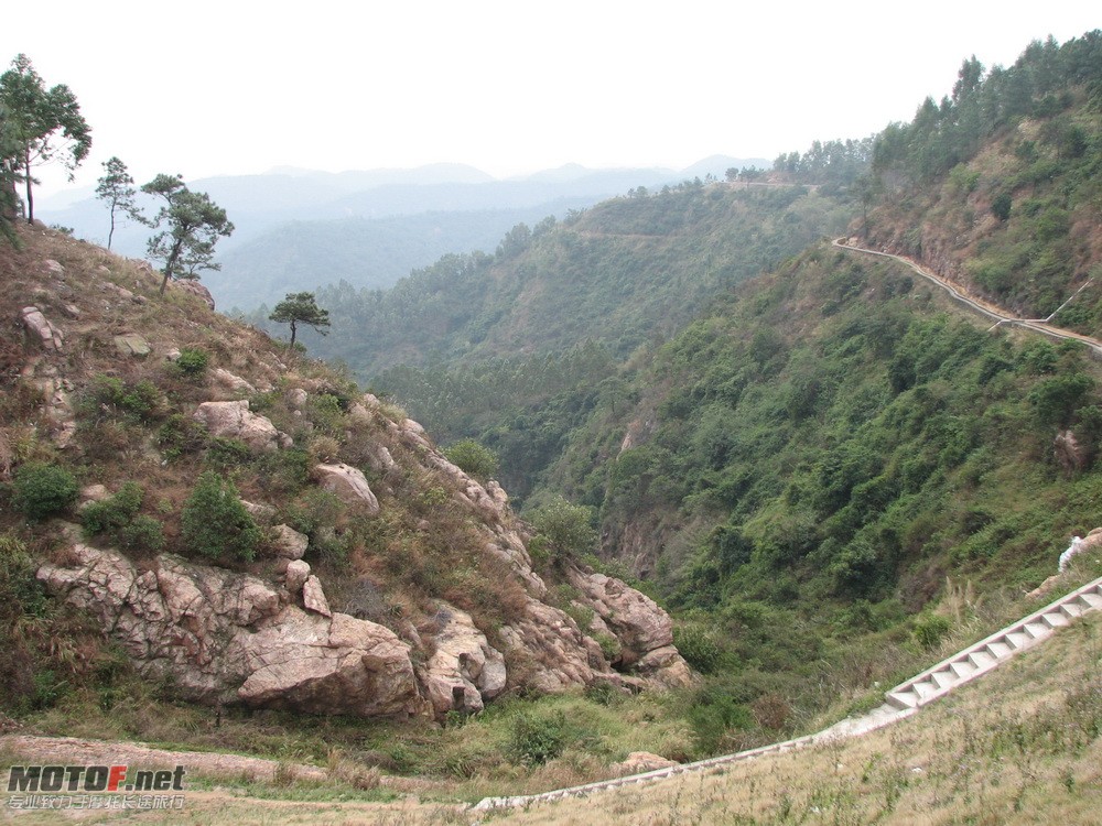 西岸鹤山.jpg