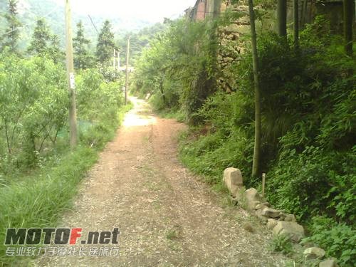 山路（就50米不到的山路）