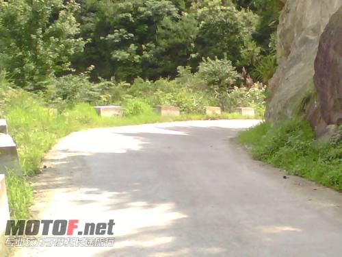 金竹降山路 