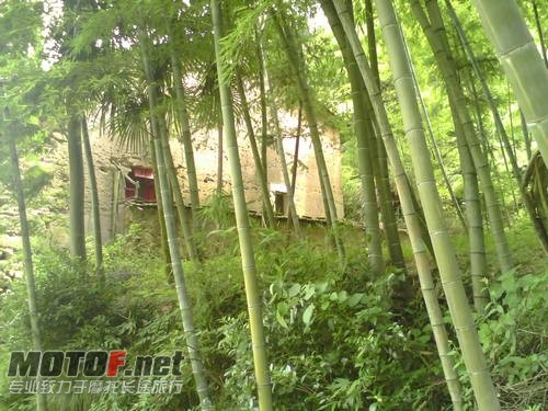 竹林里的土房
