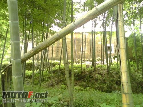 竹林里的土房