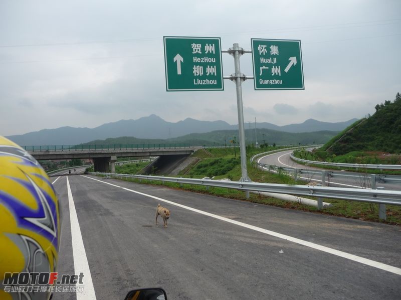 高速明天给你爽啦