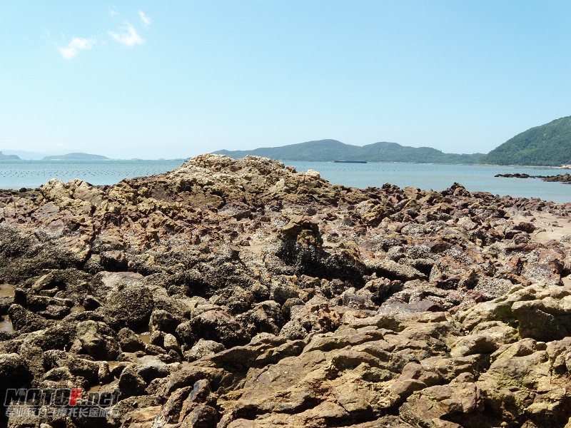 DSCN5363.jpg