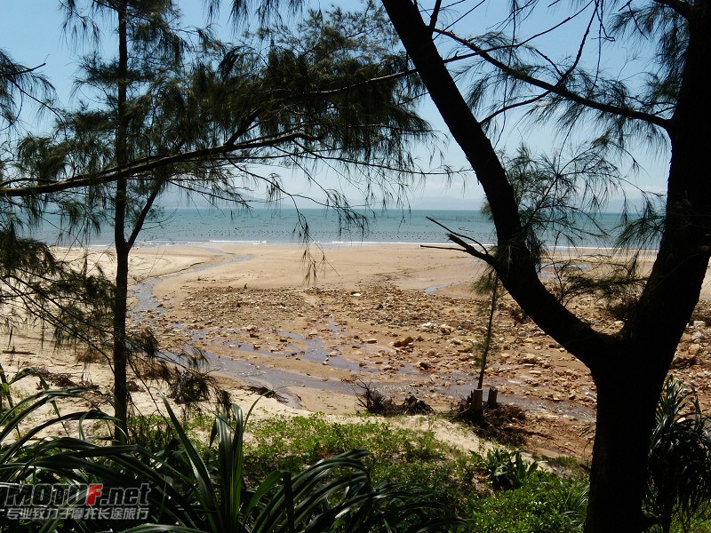 DSCN5349.jpg