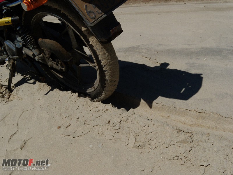 DSCN5360.jpg