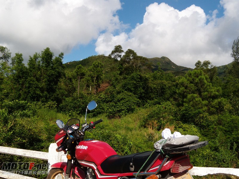 DSCN5275.jpg