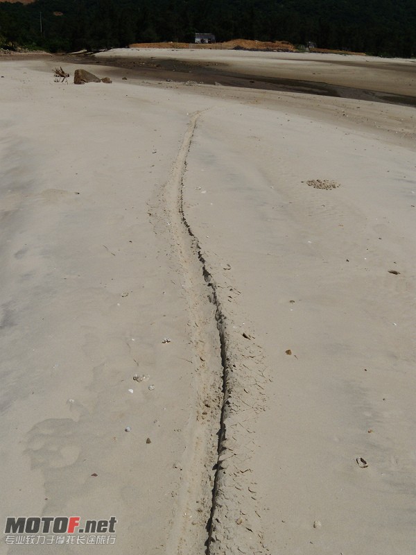 DSCN5359.jpg