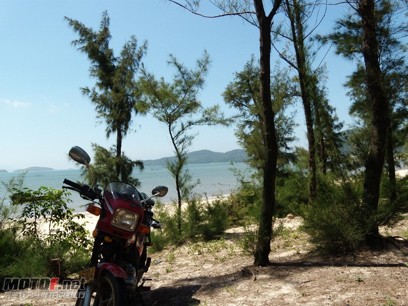DSCN5353.jpg