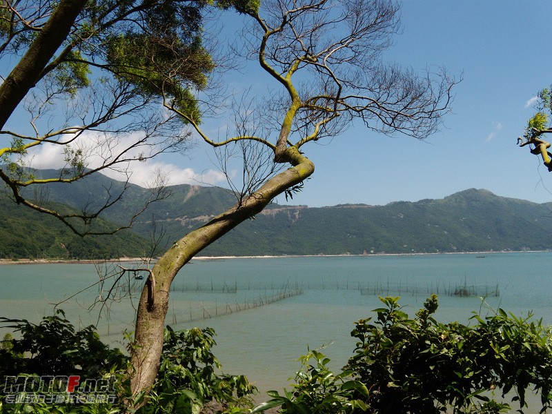 DSCN5377.jpg