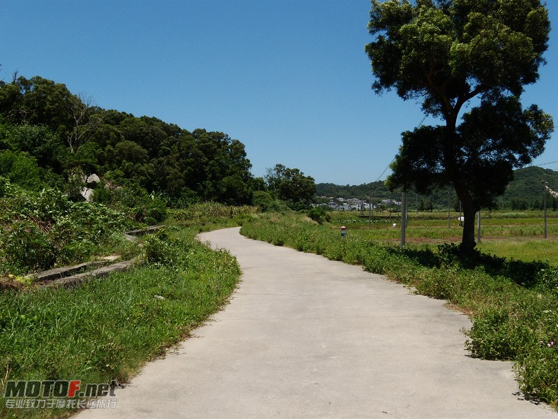 DSCN5426.jpg