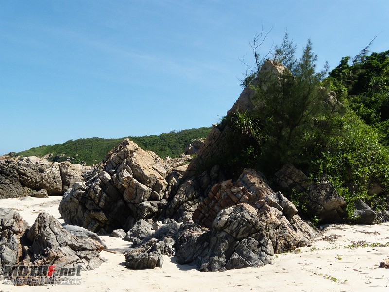 DSCN5474.jpg